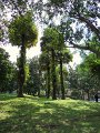 DSCN0248