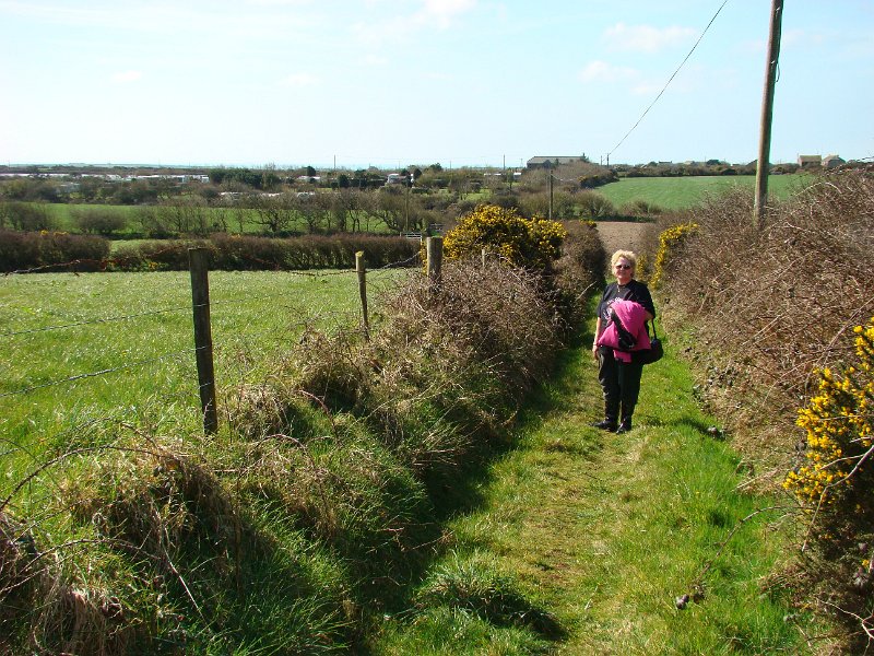 DSC01160.JPG - The walk to Carn Euny