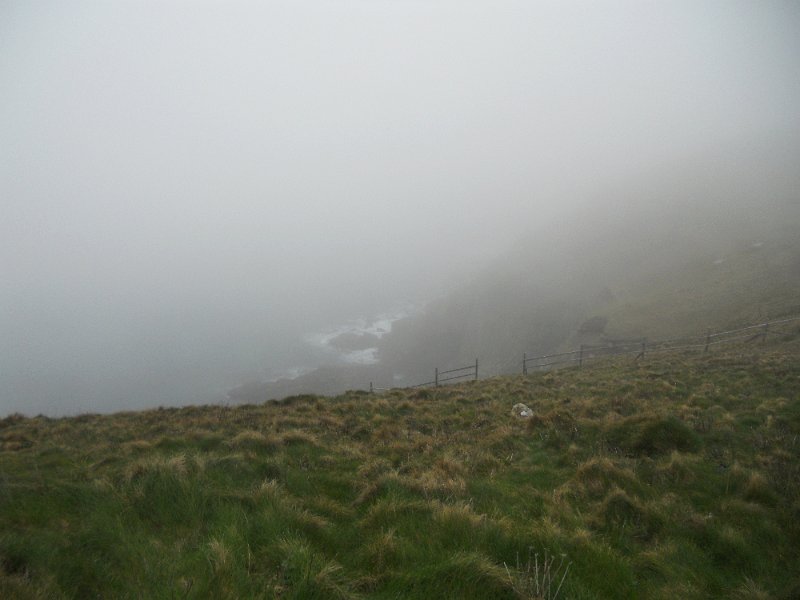 DSCN0470.JPG - Lands End - very foggy
