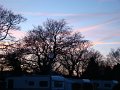 DSC00818