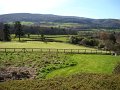 DSC00897