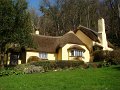 DSC00900