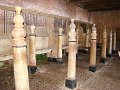 DSC00905
