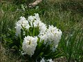 DSC00941
