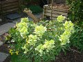 DSC00965
