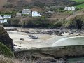 DSC00985