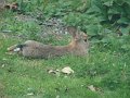 DSC01034