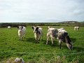 DSC01139