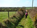 DSC01160