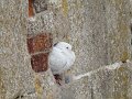 DSC01309