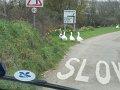 DSCN0471