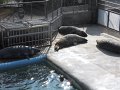 DSCN0485