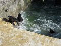 DSCN0517