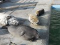 DSCN0531