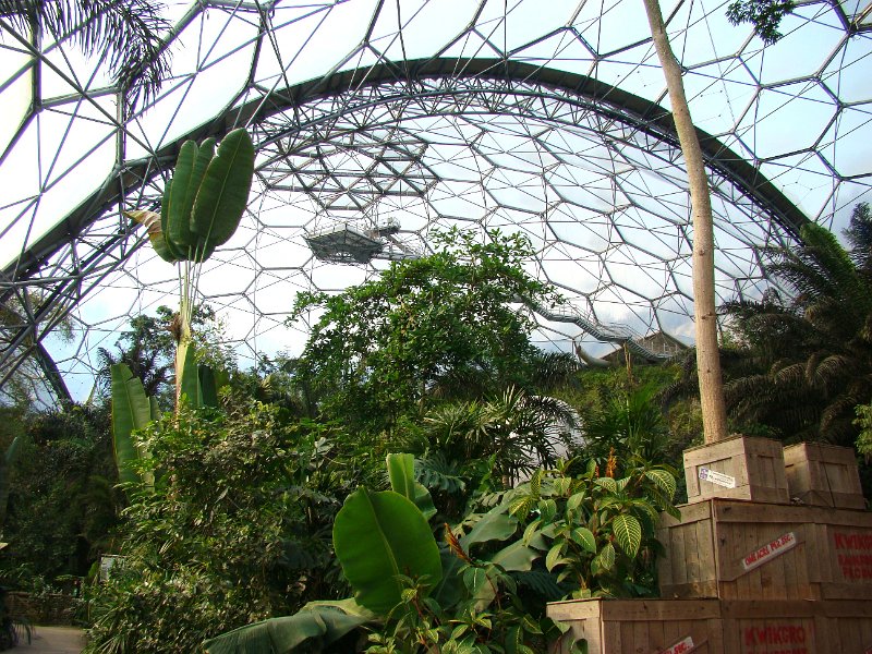 DSC01370.JPG - Eden Project - viewing platform