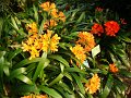 DSC01349