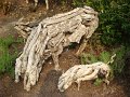 DSC01359