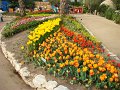 DSC01365