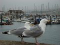 DSC01636