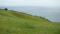 DSC01726