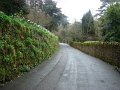 DSC01849