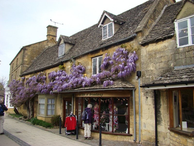 DSC02175.JPG - Broadway (Cotswolds) very old Wisteria