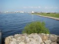DSC02206