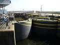 DSC02210