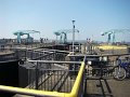 DSC02214