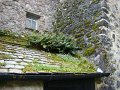 DSC02311