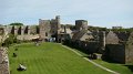 DSC02375