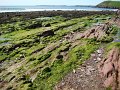 DSC02379