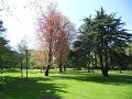 DSCN0643
