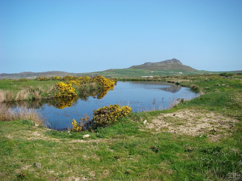 DSC02406.JPG - St Davids