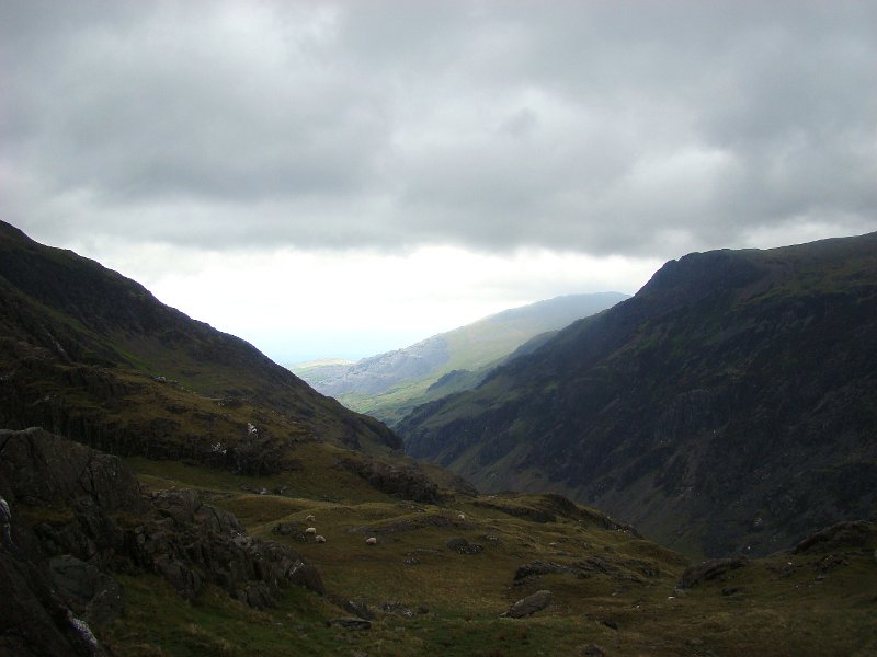 DSC02784.JPG - Mt Snowdon
