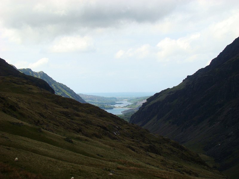 DSC02786.JPG - Mt Snowdon