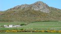 DSC02440