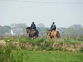 DSC02476