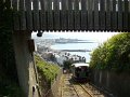 DSC02529