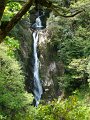 DSC02550