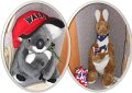 Mascots