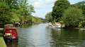 DSC03101