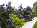 DSCN2858