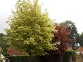 DSCN2860