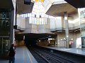 DSC03674