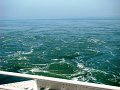 DSC03973