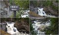 27Yellowstone24