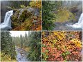 27Yellowstone3