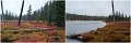 27Yellowstone5
