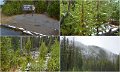 27Yellowstone8